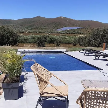 Isula Contemporaine Piscine Chauffee