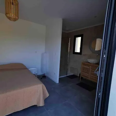 Isula Contemporaine Piscine Chauffee